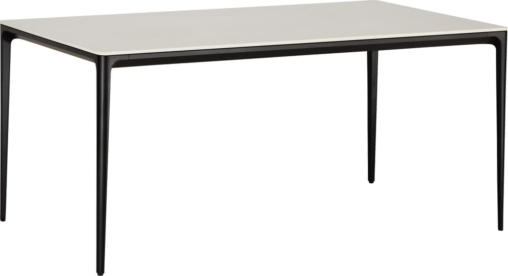 CERAMO Table 403767016012 Dimensions L: 160.0 cm x P: 90.0 cm x H: 74.2 cm Couleur Beige Photo no. 1