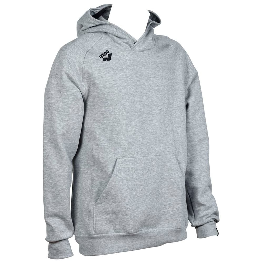 Team Hooded Sweat Panel Pull-over Arena 468713700481 Taille M Couleur gris claire Photo no. 1