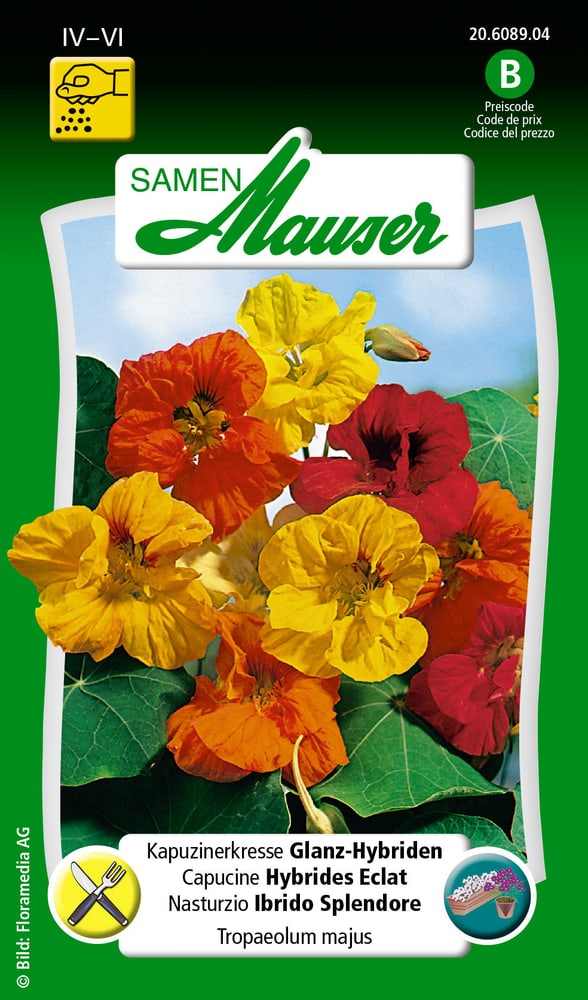 Kapuzinerkresse Glanz-Hybriden Blumensamen Samen Mauser 650107807000 Inhalt 5 g (ca. 25 Pflanzen oder 5 m² ) Bild Nr. 1