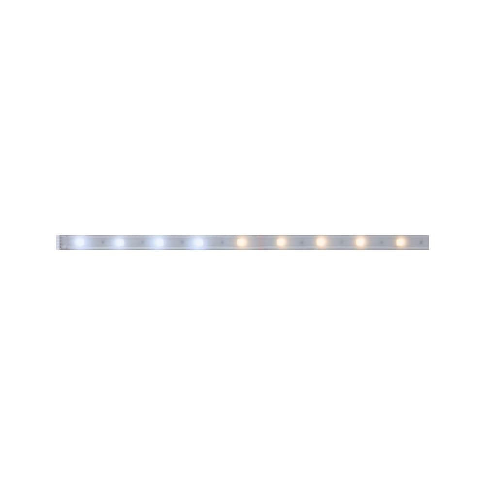 MaxLED 250 LED-Stripe LED-Streifen Paulmann 615154500000 Bild Nr. 1