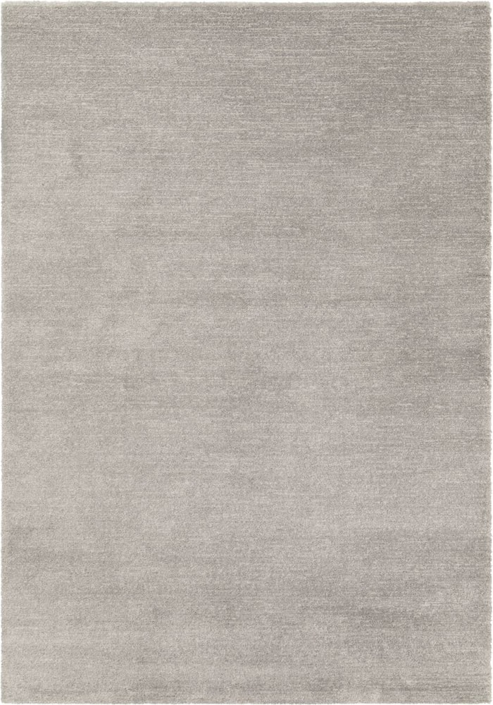 CAYO Tappeto 412034316012 Colore grigio chiaro Dimensioni L: 160.0 cm x P: 230.0 cm x A: 1.1 cm N. figura 1