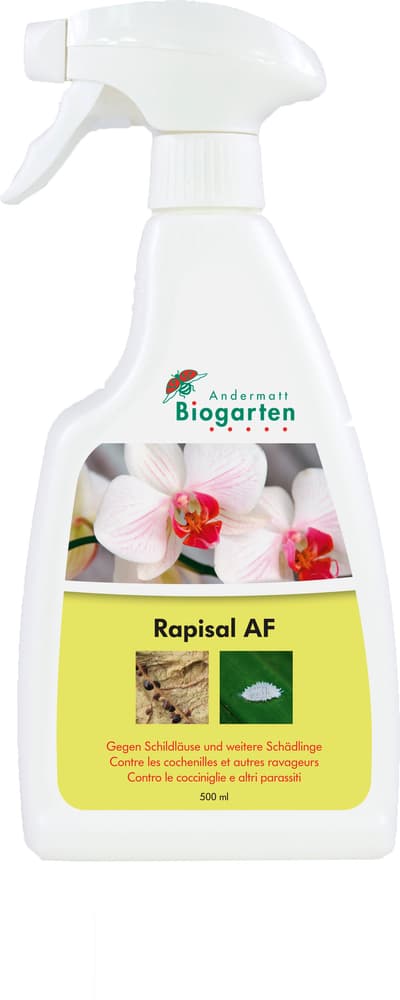 Rapisal AF, 500 ml Insetticida Andermatt Biogarten 658515300000 N. figura 1