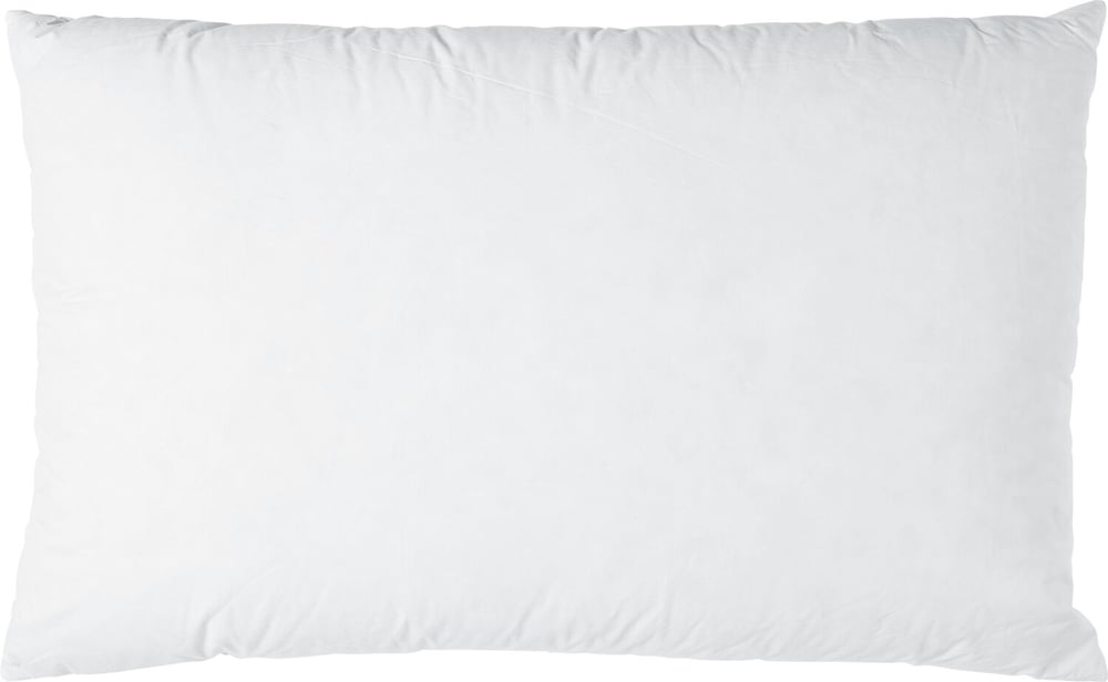 PLUMON Cuscino di piume 451777010610 Colore Bianco Dimensioni L: 65.0 cm x P: 65.0 cm N. figura 1