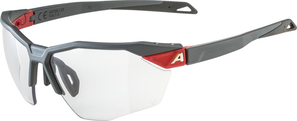 TWIST SIX S HR V Sportbrille Alpina 468821900080 Grösse Einheitsgrösse Farbe grau Bild-Nr. 1