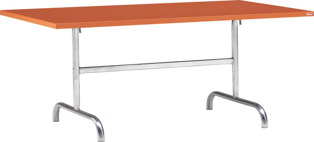 Schaffner SÄNTIS Table pilante SÄNTIS Table pilante Schaffner 408055300079 Dimensions L: 180.0 cm x P: 80.0 cm x H: 72.0 cm Couleur Terracotta Photo no. 1