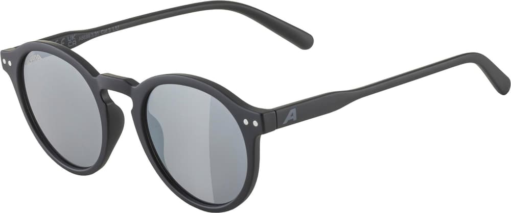 SNEEK Sportbrille Alpina 469534200020 Grösse Einheitsgrösse Farbe schwarz Bild-Nr. 1