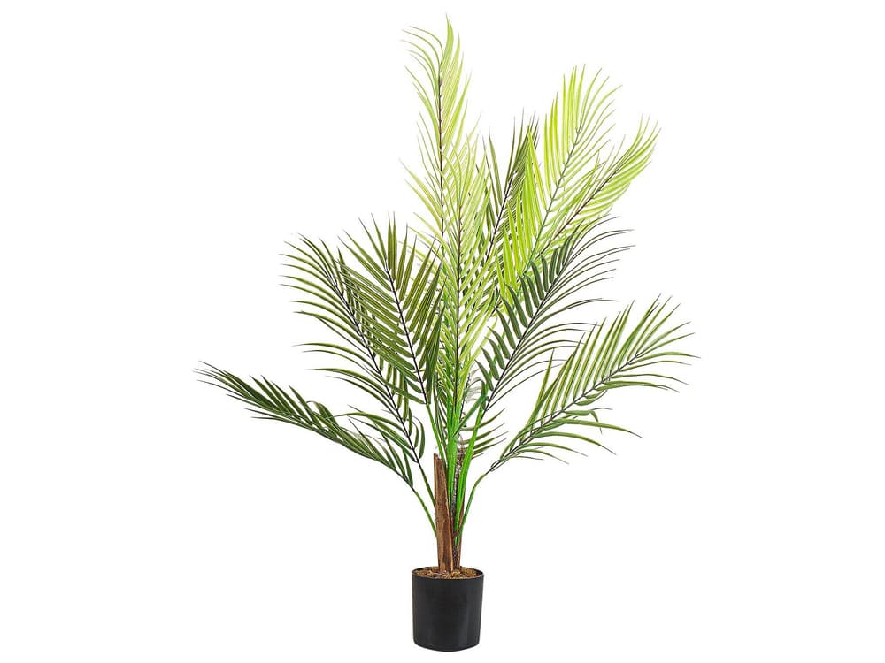 Areca Palm Plante artificielle Beliani 656828900000 Photo no. 1