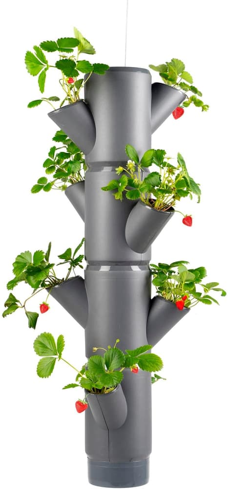 Vaso da riproduzione SISSI STRAWBERRY da appendere, antracite Giardino verticale Gusta Garden 785300186196 N. figura 1