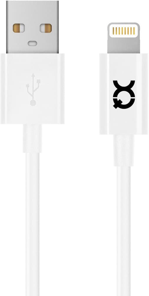 Charge & Sync Lightning to USB A 1m Cavo USB XQISIT 798252100000 N. figura 1