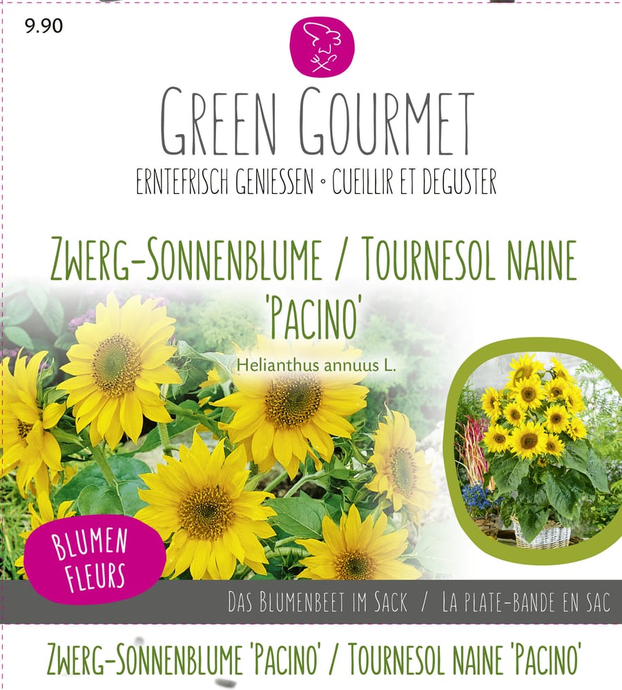 Maxi Garten Zwerg-Sonnenblume ‘Pacino‘ Sementi di gourmet Do it + Garden 286923500000 N. figura 1