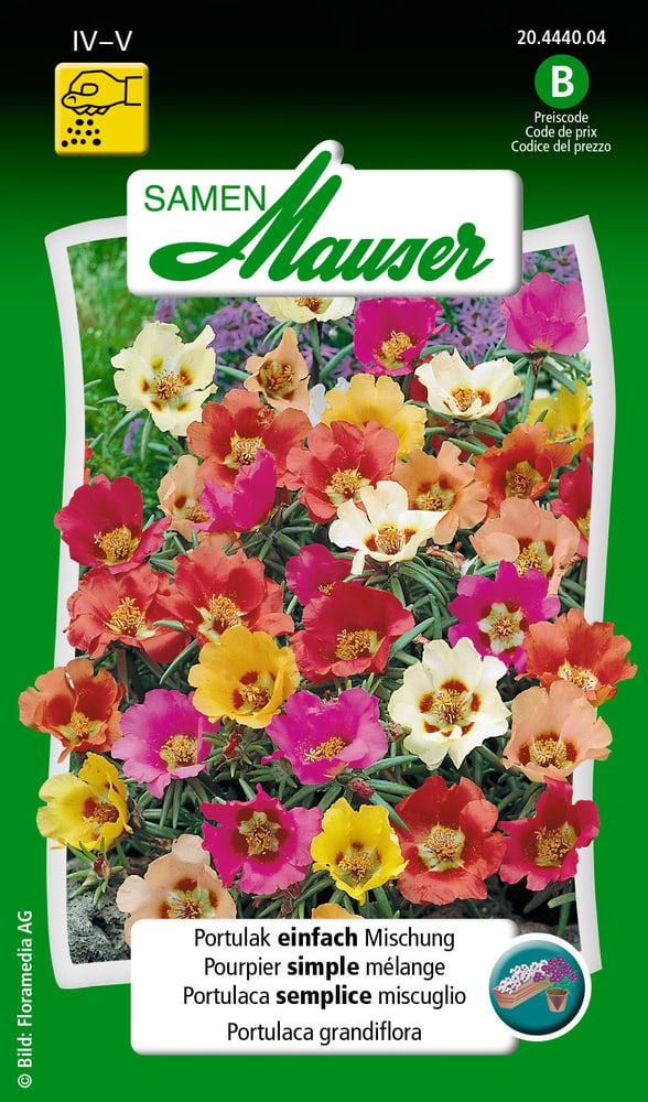 Portulak einfach Mischung Blumensamen Samen Mauser 650106601000 Inhalt 0.75 g (ca. 80 Pflanzen oder 4 m²) Bild Nr. 1