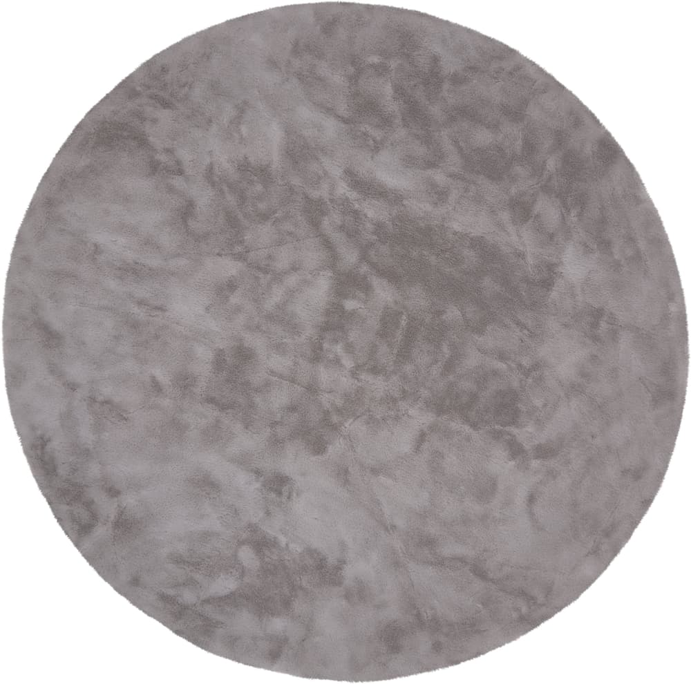 ARIADNO Teppich 412034116180 Farbe grau Grösse D: 160.0 cm Bild Nr. 1