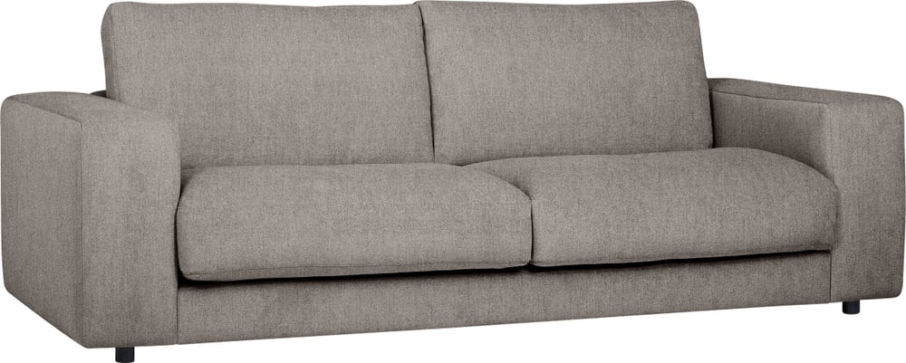 HARRISON Canapé 2 places HARRISON Canapé 2 places 405887020381 Dimensions L: 230.0 cm x P: 107.0 cm x H: 85.0 cm Couleur Gris clair Photo no. 1