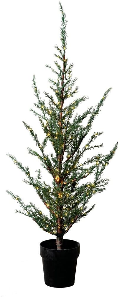 Weihnachtsbaum Milas, 100 cm, 100 LEDs, Grün Kunstbaum Sirius 785302412441 Bild Nr. 1