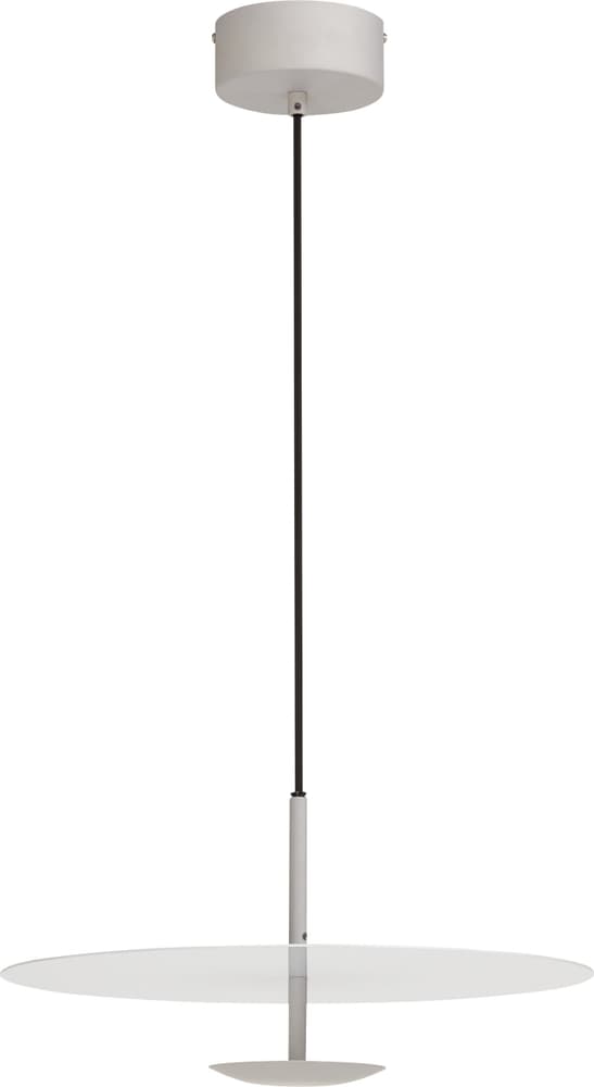 DOMINIK Lampada a sospensione 420835600081 Dimensioni A: 19.5 cm x D: 40.0 cm Colore Grigio N. figura 1
