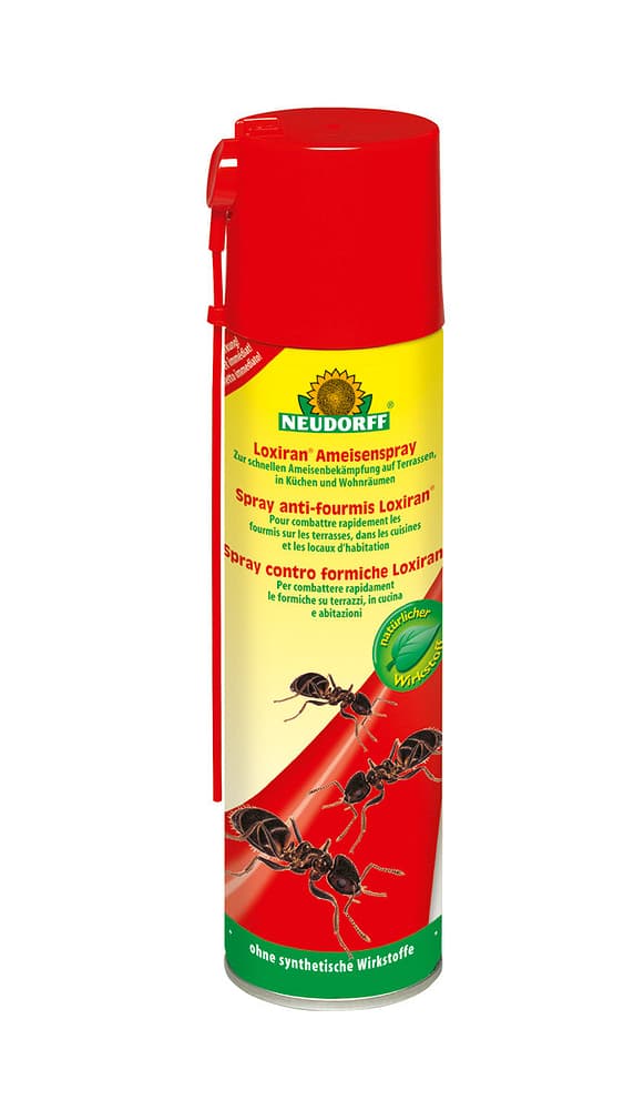 Spray anti-fourmis Loxiran, 200 ml Lutte contre les fourmis Neudorff 658511100000 Photo no. 1