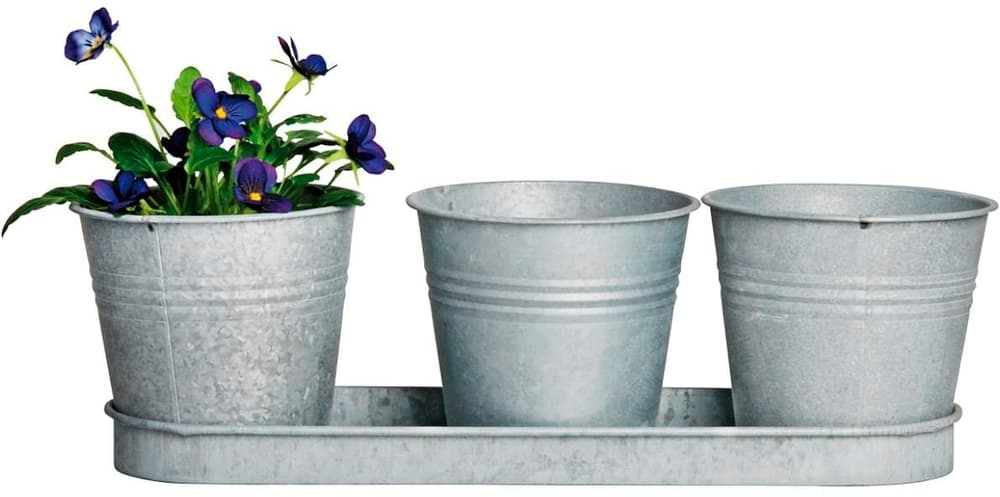 Pot de fleur Vieux zinc Set de 3 pièces, Gris Pot à fleurs Esschert Design 785300178587 Photo no. 1