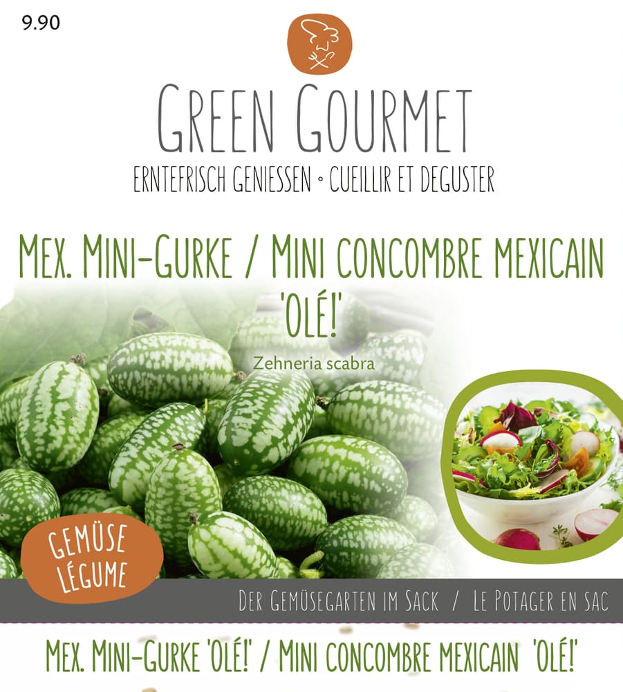 Maxi Garten Mexikanische Mini-Gurke 'Olé Semences de gourmet Do it + Garden 286920200000 Photo no. 1
