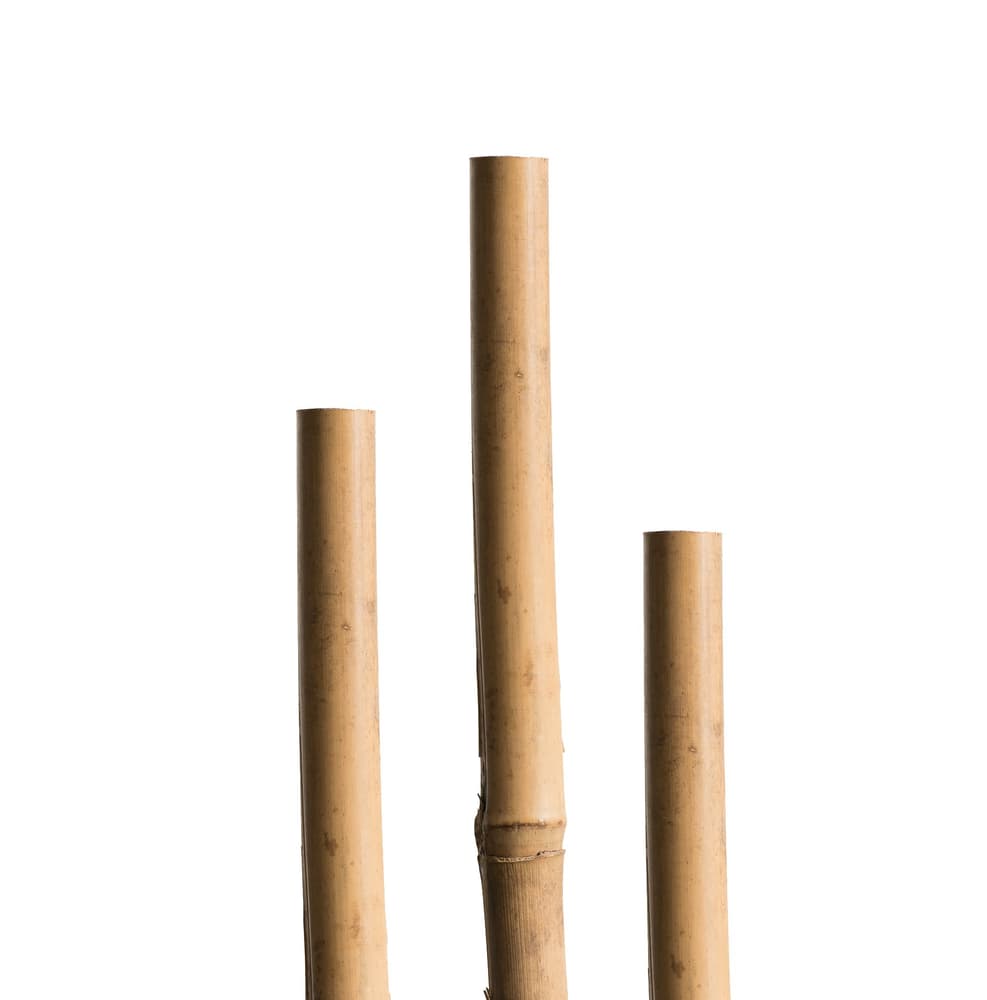 Tuteurs bambous 180 cm Tige pour plantes Miogarden 631507800000 Photo no. 1