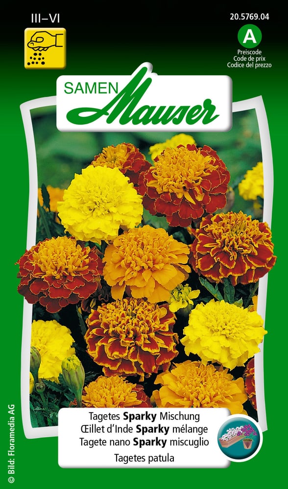 Tagete nano Sparky miscuglio Sementi di fiori Samen Mauser 650107510000 Contenuto 1 g (ca. 80 piante o 5 m²) N. figura 1