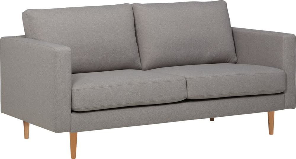 KARAN 2.5er-Sofa KARAN 2.5er-Sofa 405901325381 Grösse B: 202.0 cm x T: 87.0 cm x H: 81.0 cm Farbe Hellgrau Bild Nr. 1