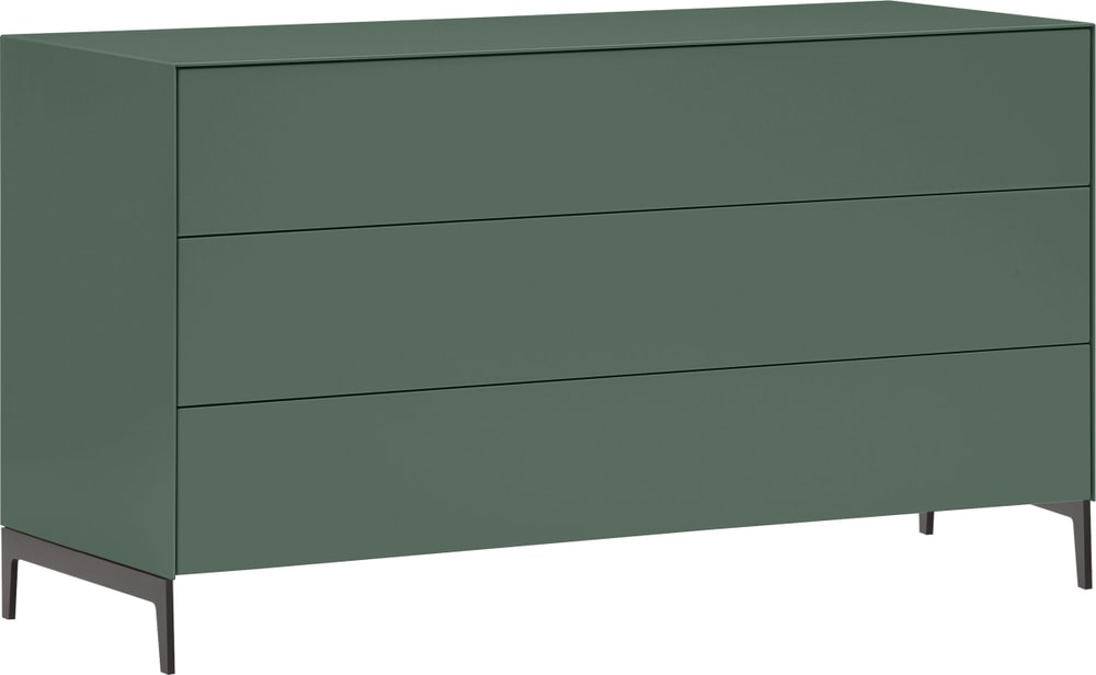 LUX Cassettone 400843500000 Dimensioni L: 120.0 cm x P: 46.0 cm x A: 68.0 cm Colore Verde N. figura 1