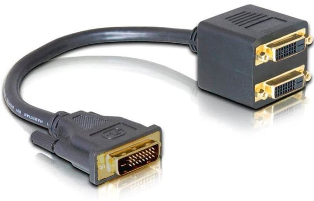 Diviseur de signaux à 2 ports DVI-D - DVI-D Adaptateur vidéo DeLock 785300192463 Photo no. 1
