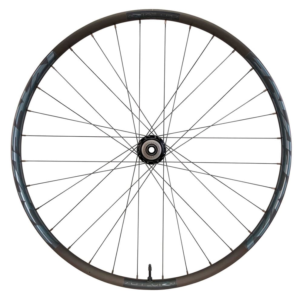 Aeffect R 30 ALU E-MTB CLN 6 Bolt Wheel Bicicletta senza pedali RaceFace 471753600000 N. figura 1