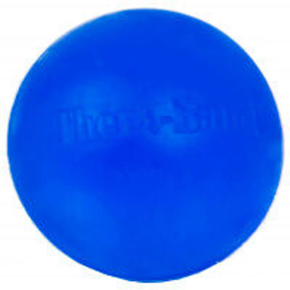 Handtrainer Handtrainer TheraBand 467913200040 Grösse Einheitsgrösse Farbe blau Bild-Nr. 1