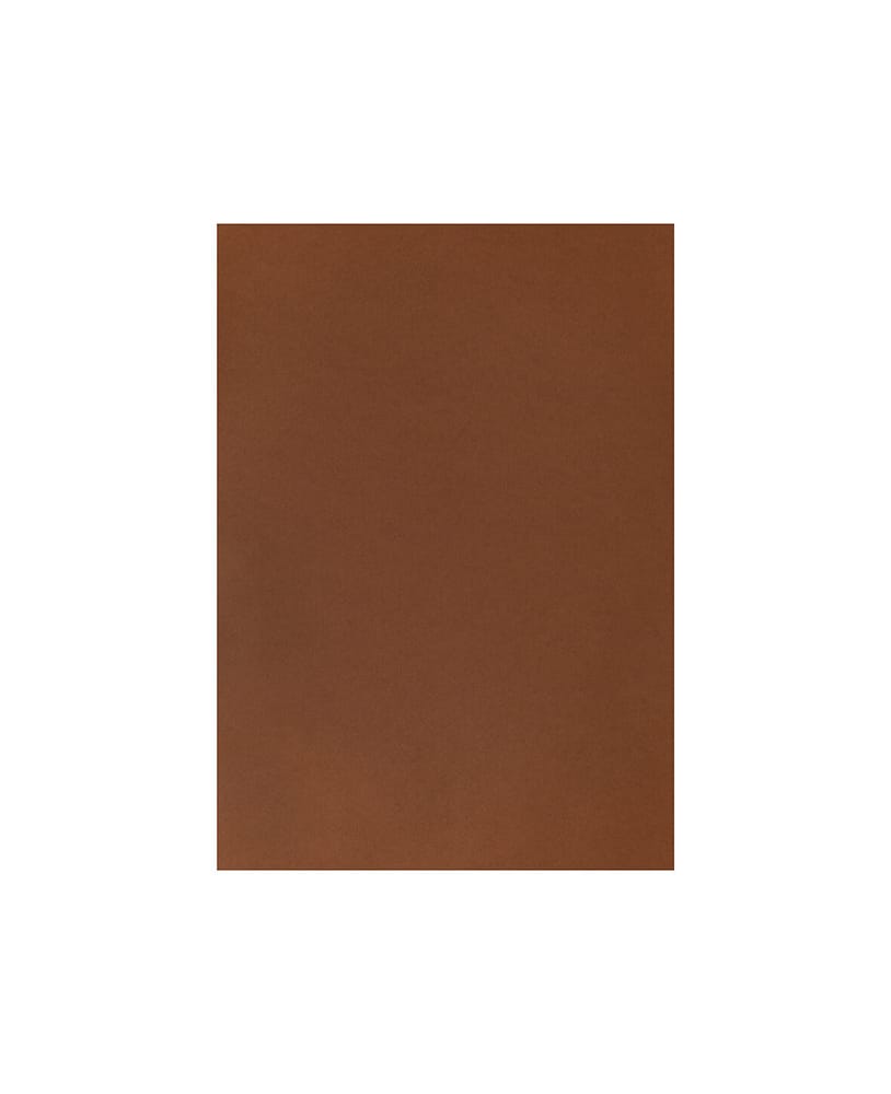 Carta Per Foto A4, Marrone Medi Cartone fotografico 666540900130 Colore Marrone Dimensioni L: 21.0 cm x P: 0.05 cm x A: 29.7 cm N. figura 1