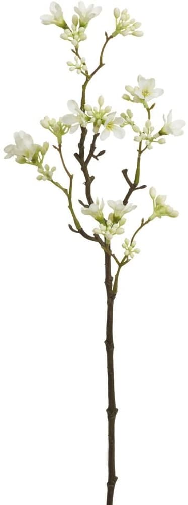 Heptacodium Fleur artificielle 658078500000 Couleur Blanc Dimensions L: 51.0 cm Photo no. 1