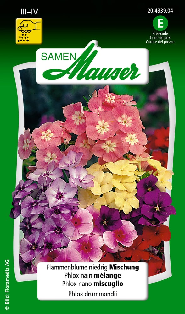 Phlox nain mélange Semences de fleurs Samen Mauser 650106401000 Contenu 0.75 g (env. 75 plantes ou 3 - 4 m²) Photo no. 1