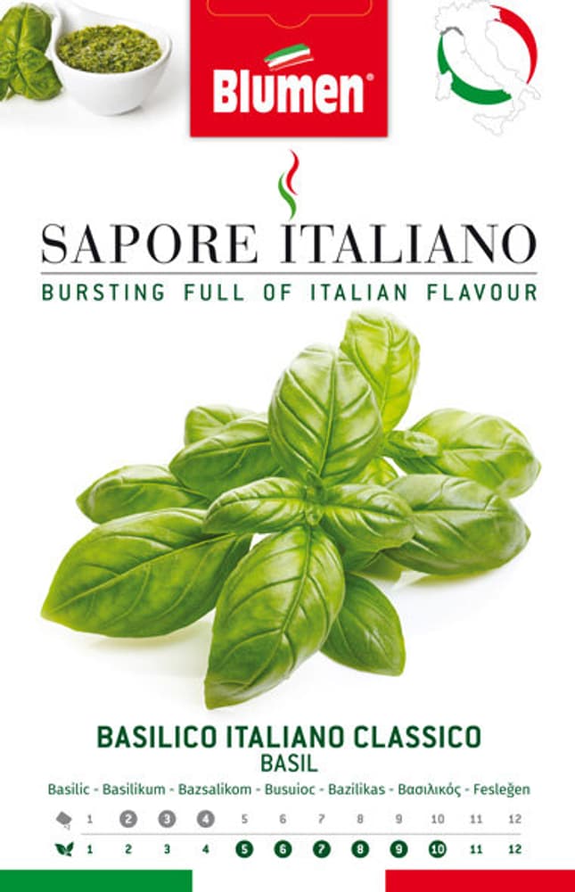 Basilic Italiano Classico Semences d’herbes arom. Blumen 650164000000 Photo no. 1