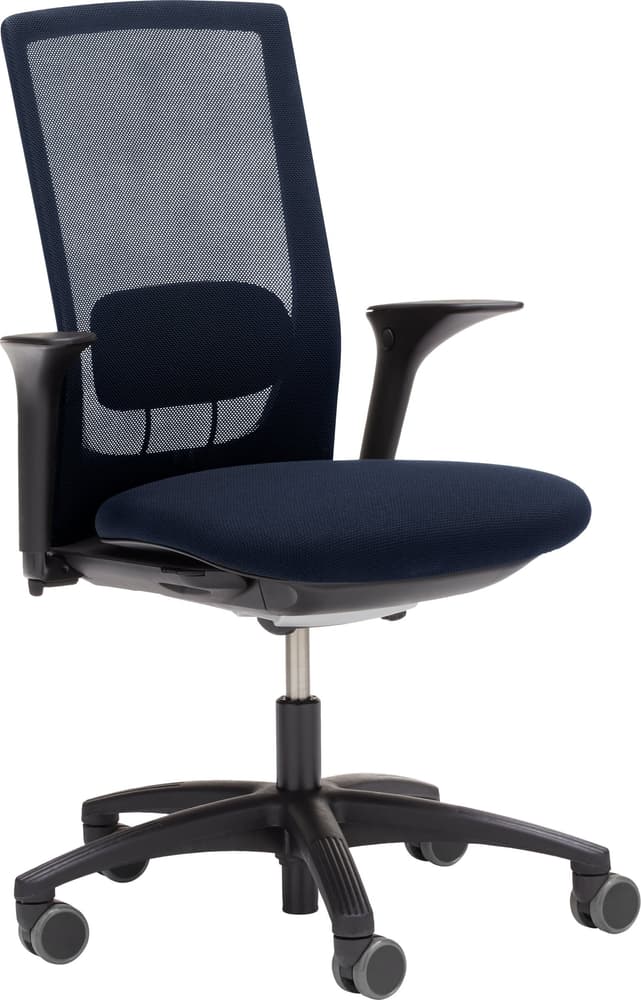 Futu Mesh  1100-S Chaise de bureau HAG 401512900040 Dimensions L: 61.0 cm x P: 47.0 cm x H: 105.0 cm Couleur Bleu Photo no. 1