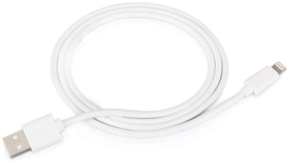 USB-A to Lightning cable 1m - white USB Kabel Griffin 785300167166 Bild Nr. 1