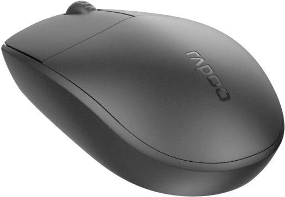 N100 Optical Mouse Maus Rapoo 785300146043 Bild Nr. 1