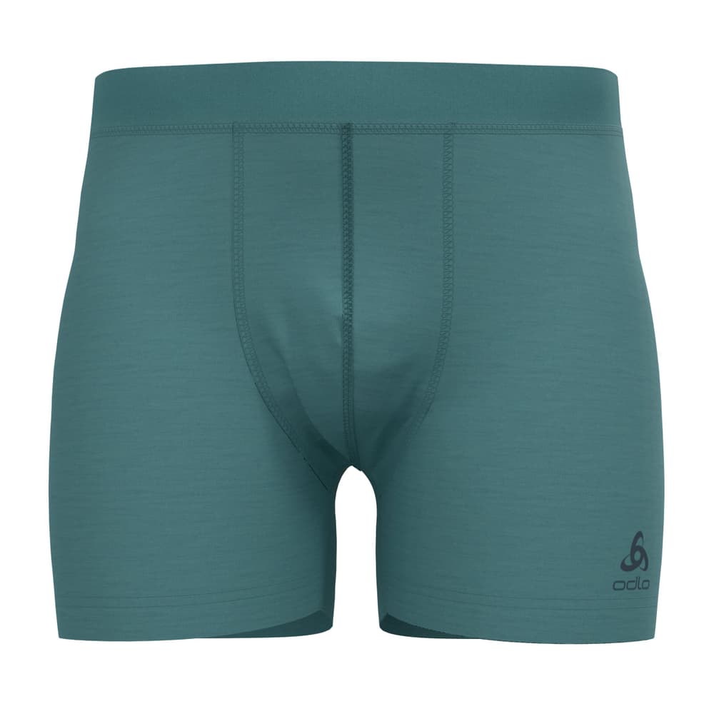 Merino 160 Boxers Odlo 466136000385 Taille S Couleur menthe Photo no. 1