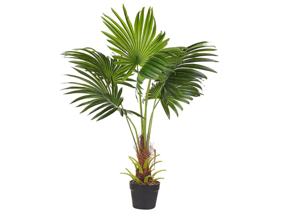 Fan Palm Pianta artificiale Beliani 656828600000 N. figura 1