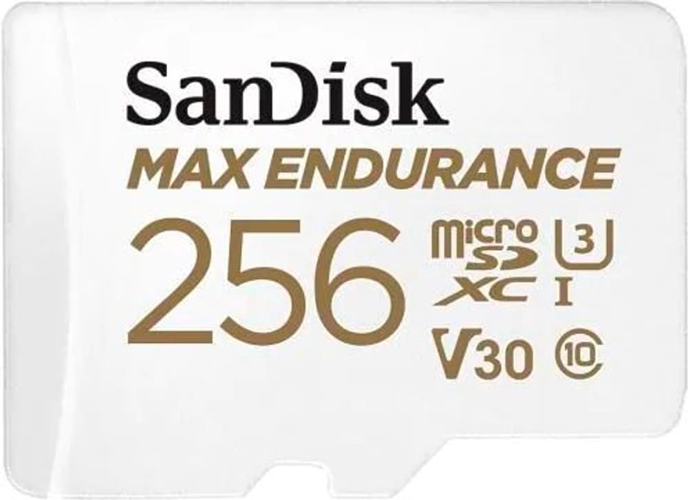 microSDXC-Karte Max Endurance 256GB SD-Karte SanDisk 785300181261 Bild Nr. 1