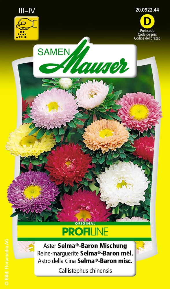 Reine-marguerite Selma®-Baron mélange Semences de fleurs Samen Mauser 650102002000 Contenu 0.25 g (env. 100 plantes ou 5 - 6 m²) Photo no. 1