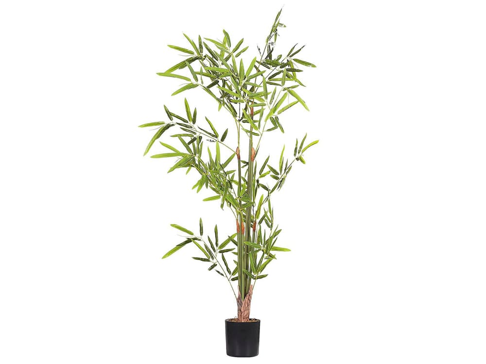 Bambusa Vulgaris Plante artificielle Beliani 656827400000 Photo no. 1