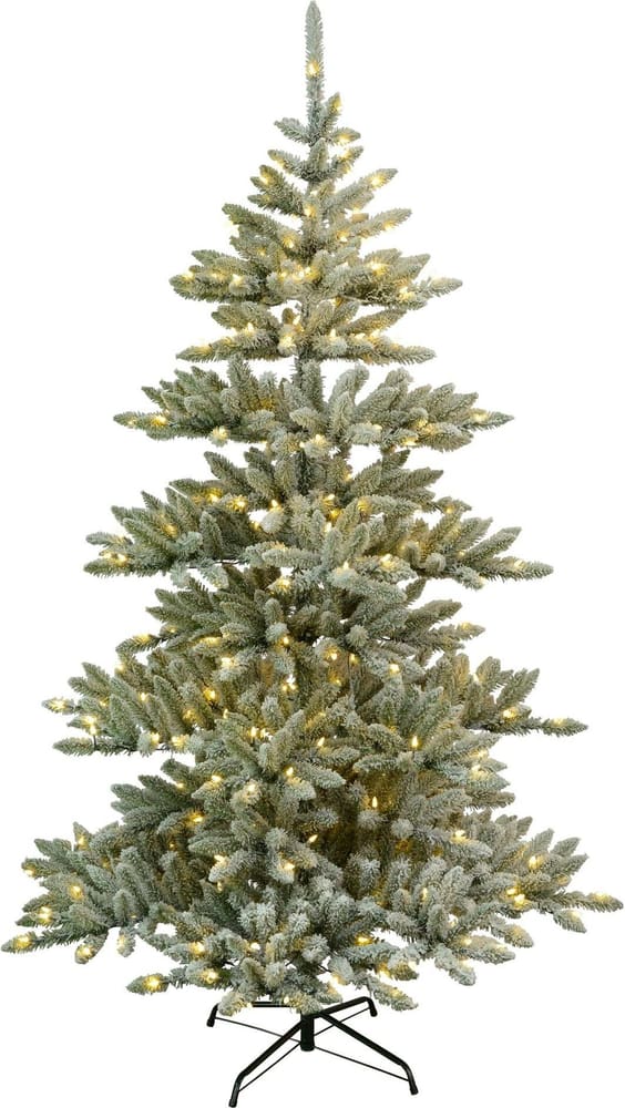 Weihnachtsbaum Arvika inkl. LED WW, IP44, 210cm Weihnachtsbaum Star Trading 785302444741 Bild Nr. 1