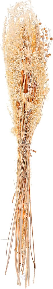 Mazzo fiori secchi naturale 65 cm BRUNETE Fiori secchi Beliani 615185700000 N. figura 1