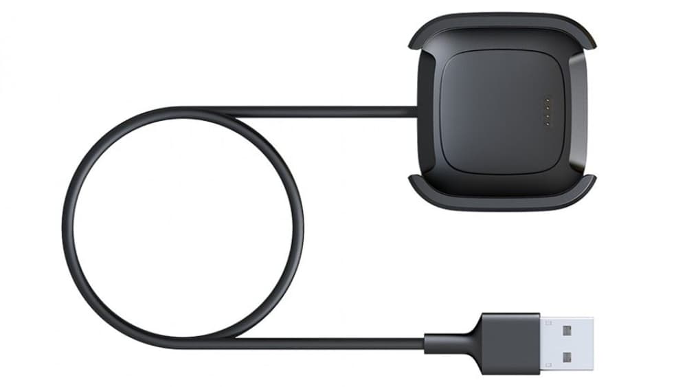 Câble de charge Versa 2 Fitbit 9000040084 Photo n°. 1