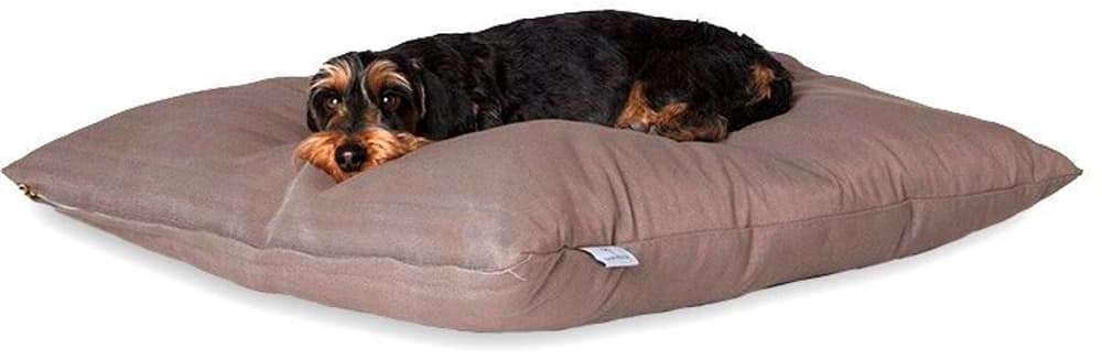 Darling Little Place coussin bois M 80 x 80 x 15 cm Coussin chien DarlingLittlePlace 669700100572 Photo no. 1