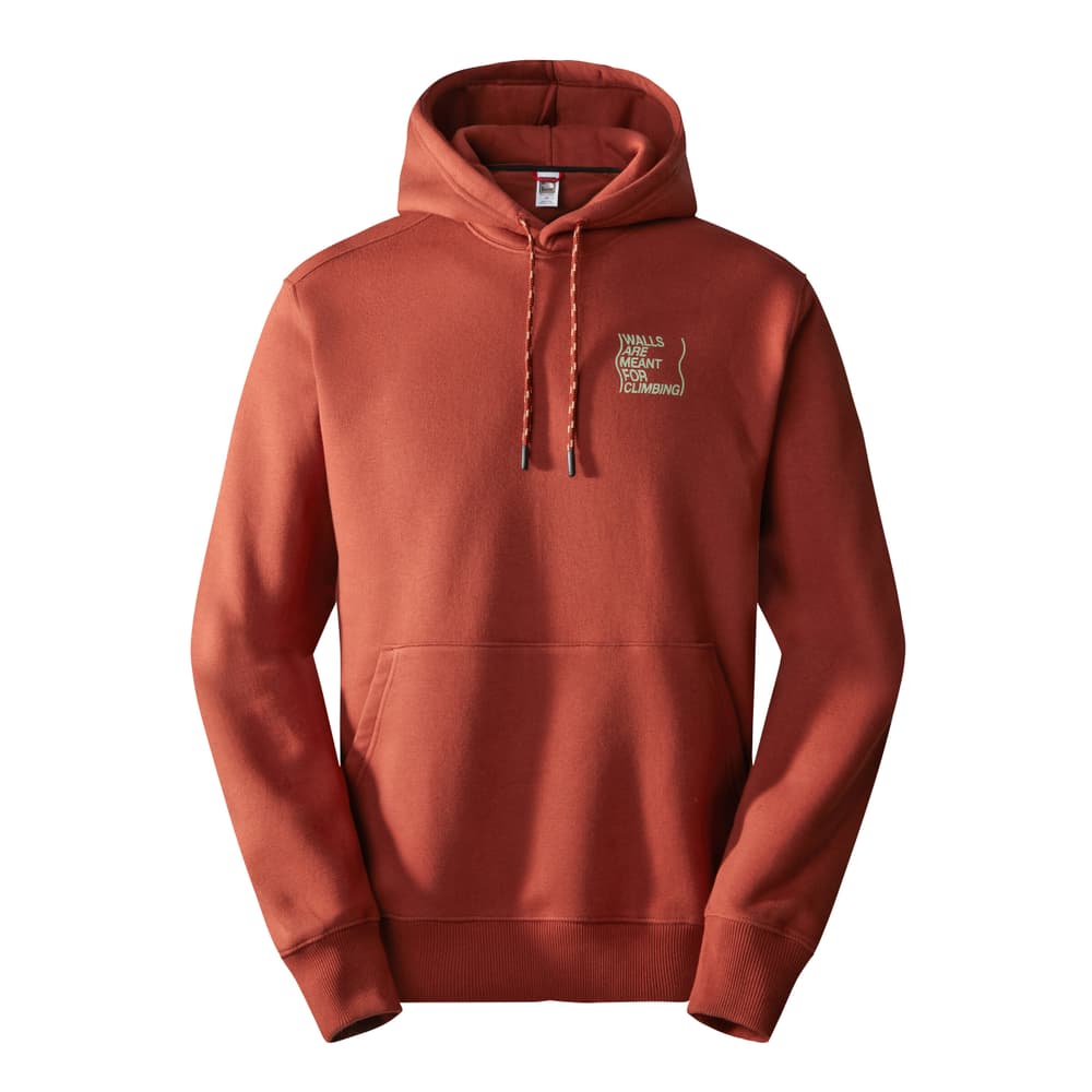 Outdoor Graphic Hoodie pull-over The North Face 467585900570 Taille L Couleur brun Photo no. 1