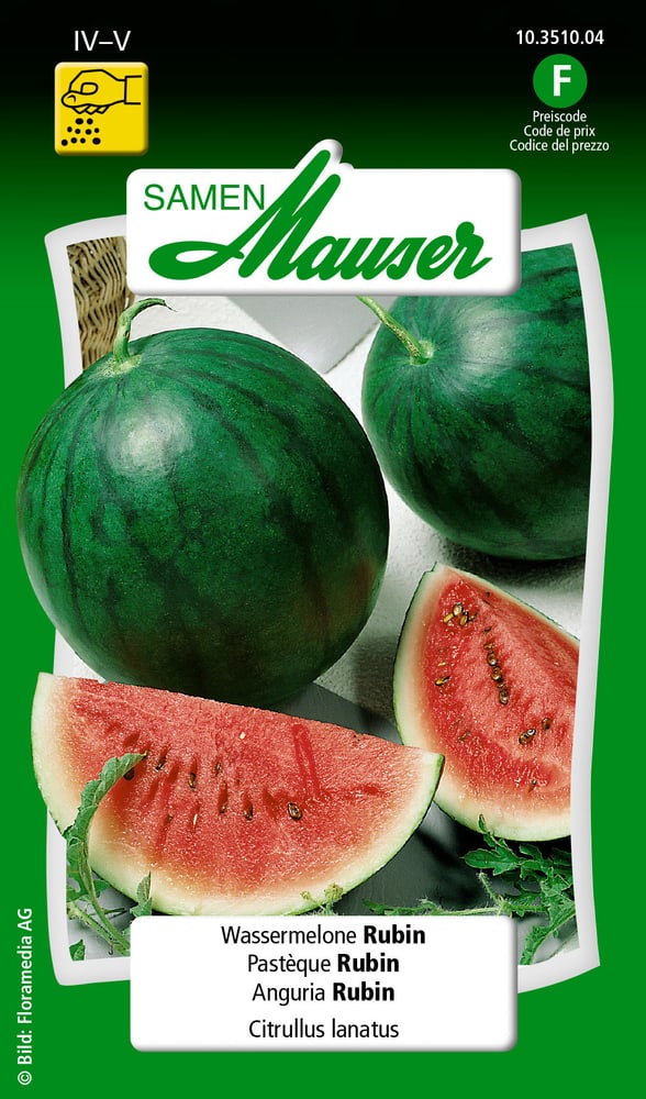 Wassermelone Rubin Gemüsesamen Samen Mauser 650115801000 Inhalt 1 g (ca. 6 - 8 Pflanzen oder 5 m² ) Bild Nr. 1