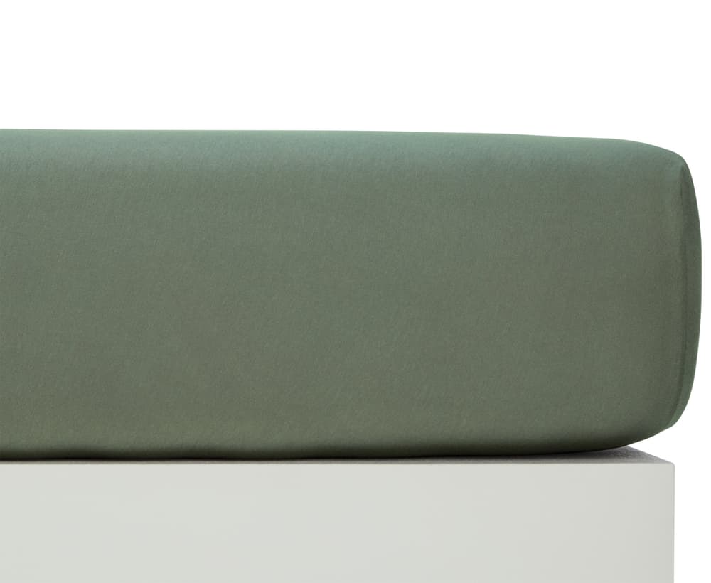 AYLA Jersey-Fixleintuch AYLA Jersey-Fixleintuch 451067430567 Farbe Laurel wreath Grösse B: 180.0 cm x H: 220.0 cm Bild Nr. 1