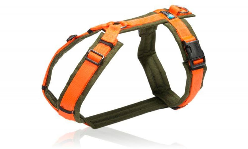 Anny-X Geschirr Fun oliv-orange M Hals 30 - 48 cm / Brust 62 - 74 cm Hundegeschirr Anny-X 669700101742 Bild Nr. 1