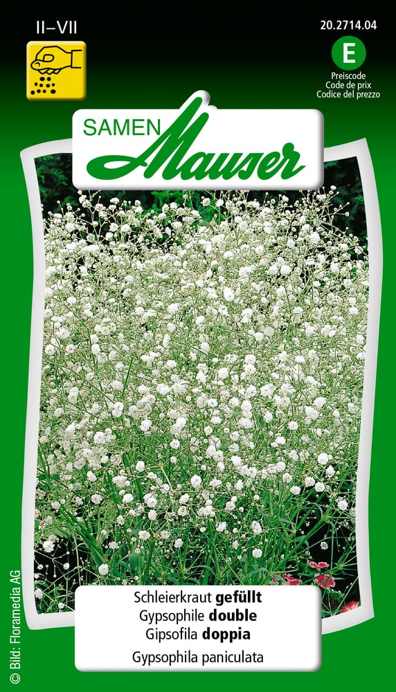 Schleierkraut gefüllt Blumensamen Samen Mauser 650118211000 Inhalt 1 g (ca. 80 Pflanzen oder 7 m² ) Bild Nr. 1